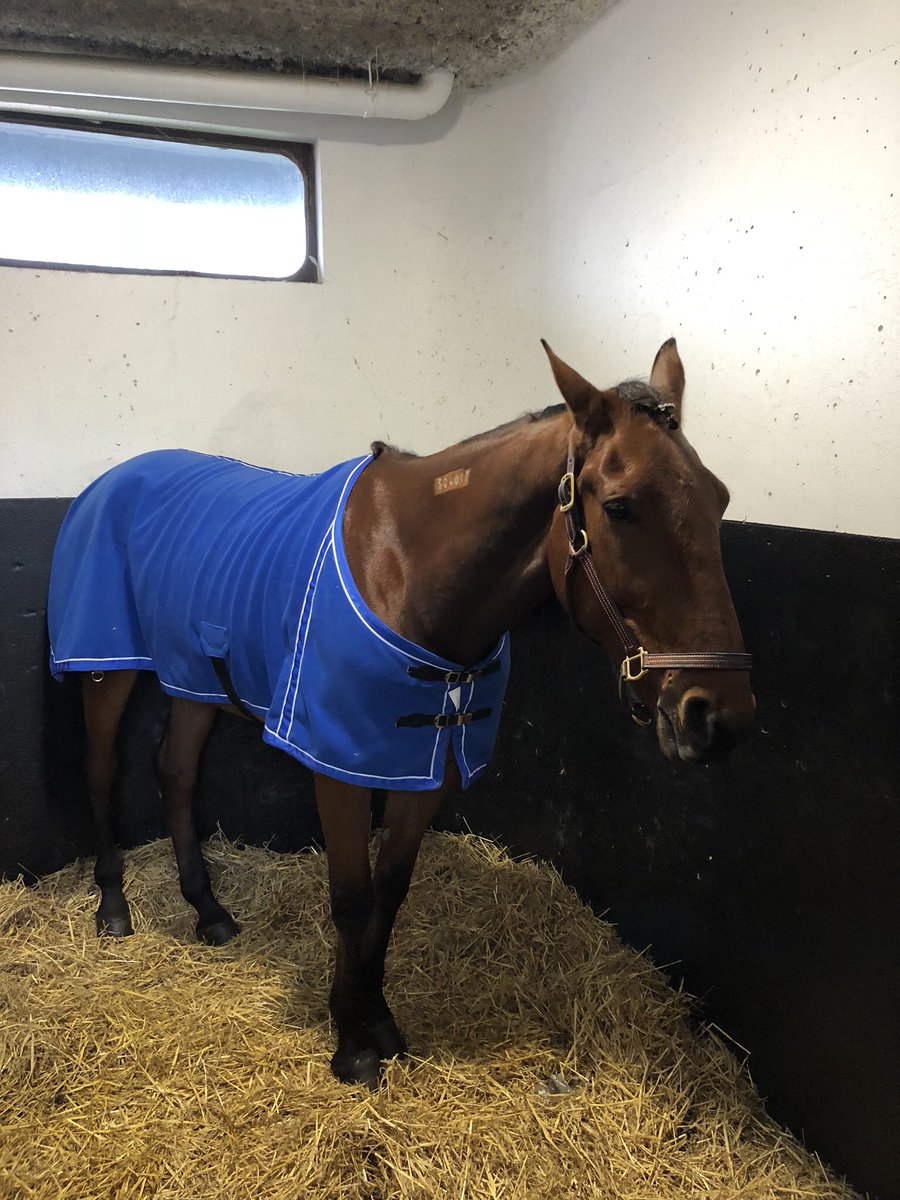 DanielFixelius's tweet photo. Exclamation Mark och Danne Edel på V75 i Kalmar i helgen 😎🤩 https://t.co/cp9omGRMVw