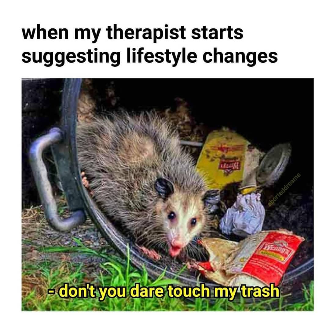 AbsoluteNobodyy's tweet image. 