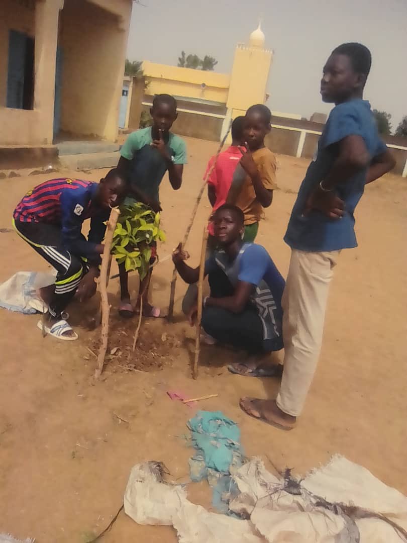 RJASRPFMALI's tweet photo. Aussitôt formés par le projet GLEE/USAID ls nouveaux #JA de la région de #KAYES sont très dynamiques,engagés.
Vendredi 14juin,ceux de #Seguela ont menés diverses activités: plantation d’arbres,assainissement des toilettes, formation de certains paires sur l’utilisation des TIC. https://t.co/dU7DDtvfSp