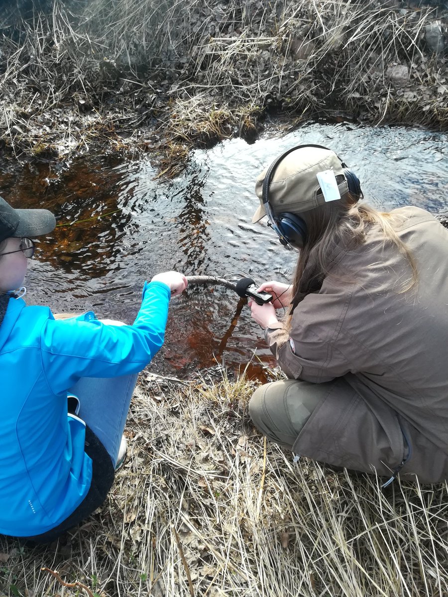 Hadal Expedition has audio made 99% from scratch! Here's us recording some water sounds 🐟 #gamedev #gameSFX #gameAudio #IndieGameDev