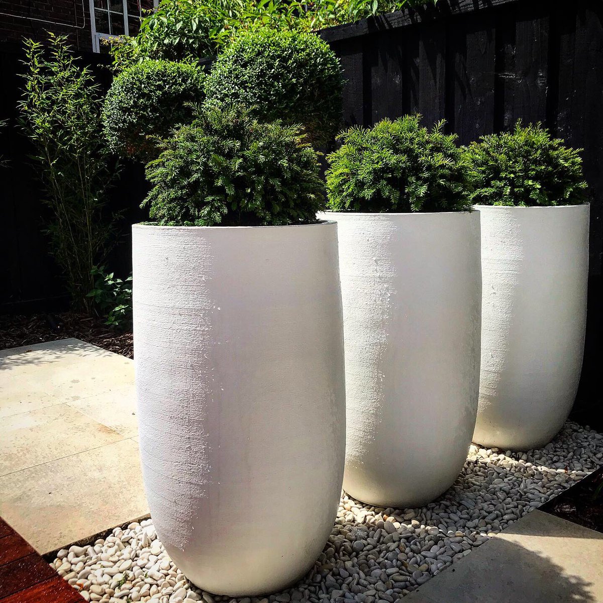 johnward_design's tweet photo. Planted up these lovely Urbis planters in our Islington project today. A very clean and contemporary look to this design with dinning table and lounge furniture still to come #gardendesign #azaralandscapes https://t.co/KH4sG0oWJw