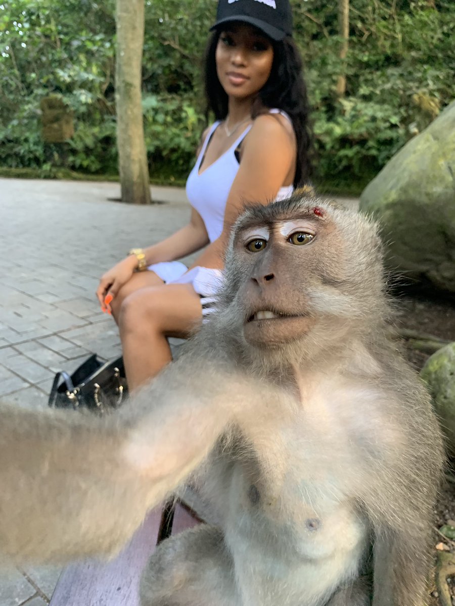 exotiqu33's tweet photo. New friend🥰 https://t.co/ByD07u7plF