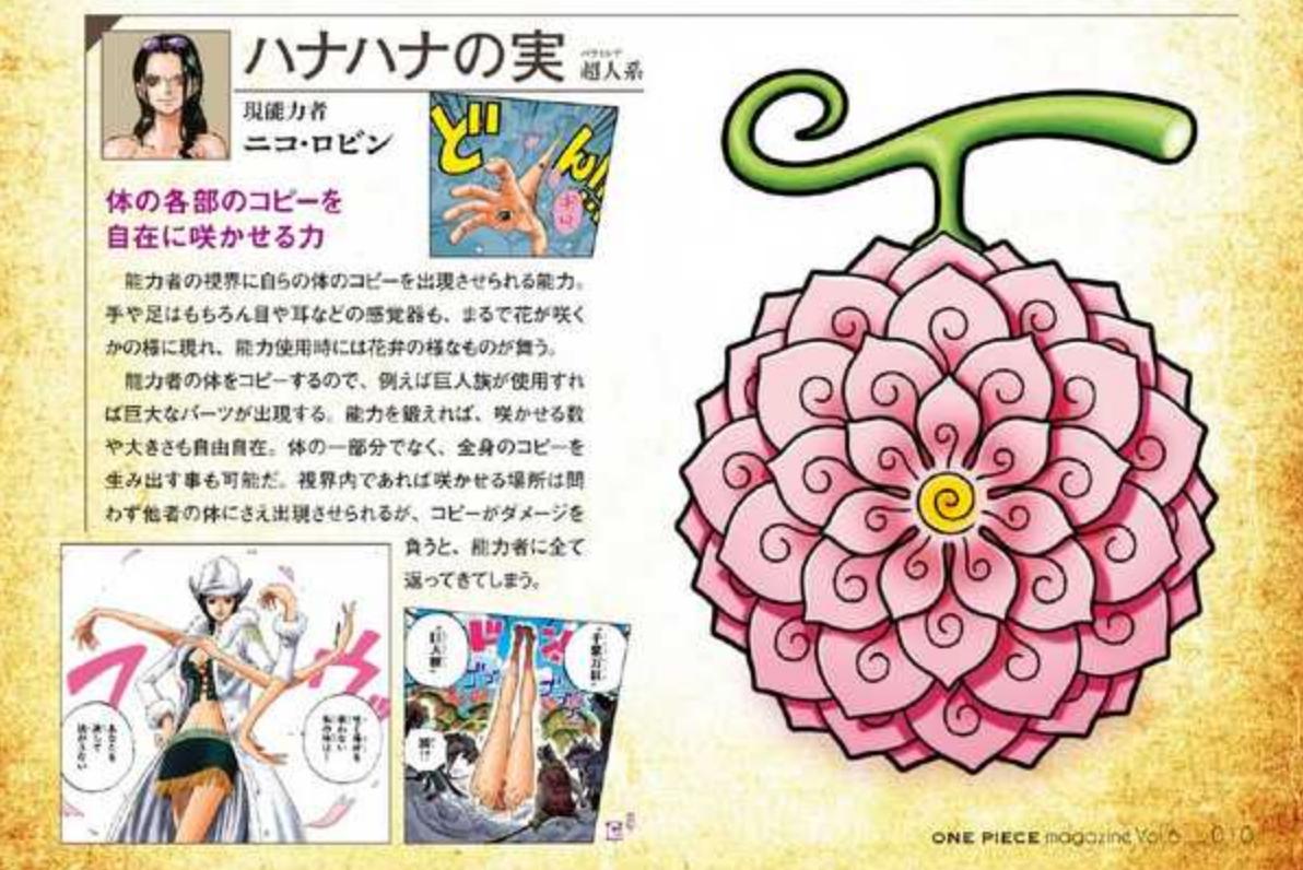 Artur - Library of Ohara on X: And a first time reveal of the fruit form  of the Hana Hana no Mi, Robin's fruit! As you'd expect, it looks like a  flower!