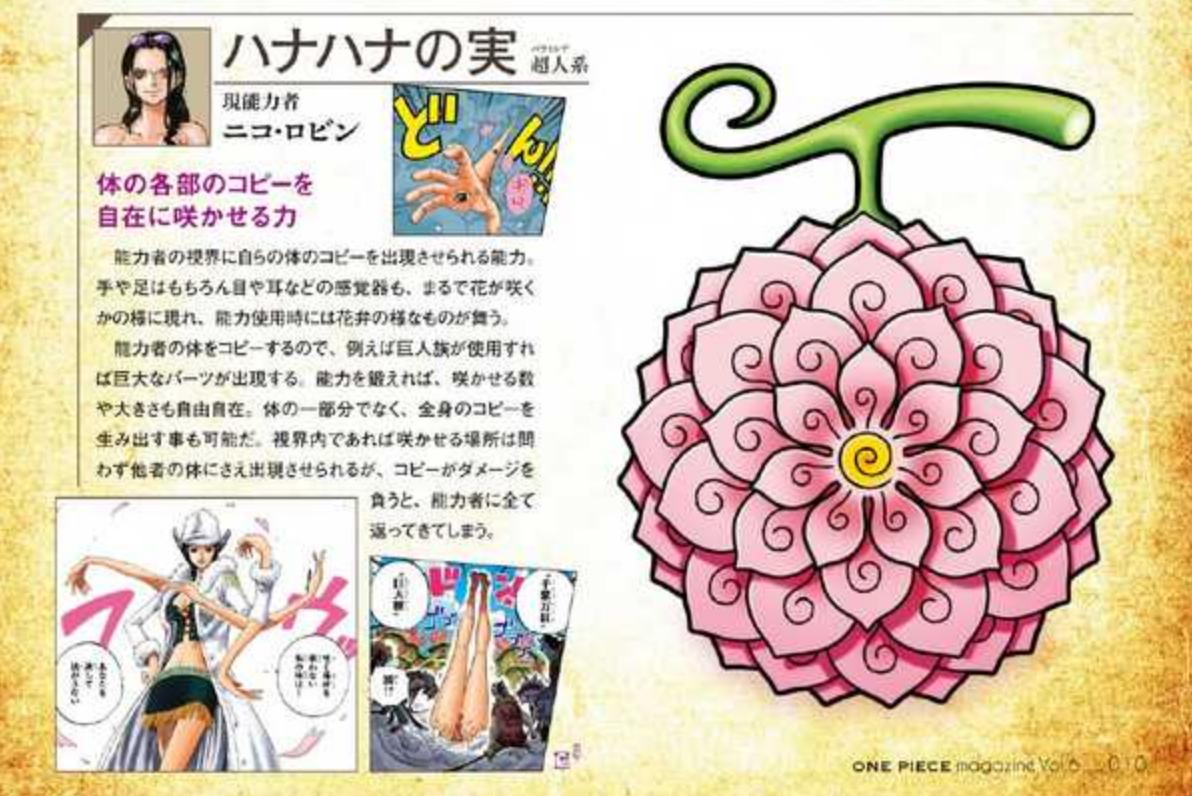 Artur Library Of Ohara And A First Time Reveal Of The Fruit Form Of The Hana Hana No Mi Robin S Fruit As You D Expect It Looks Like A Flower