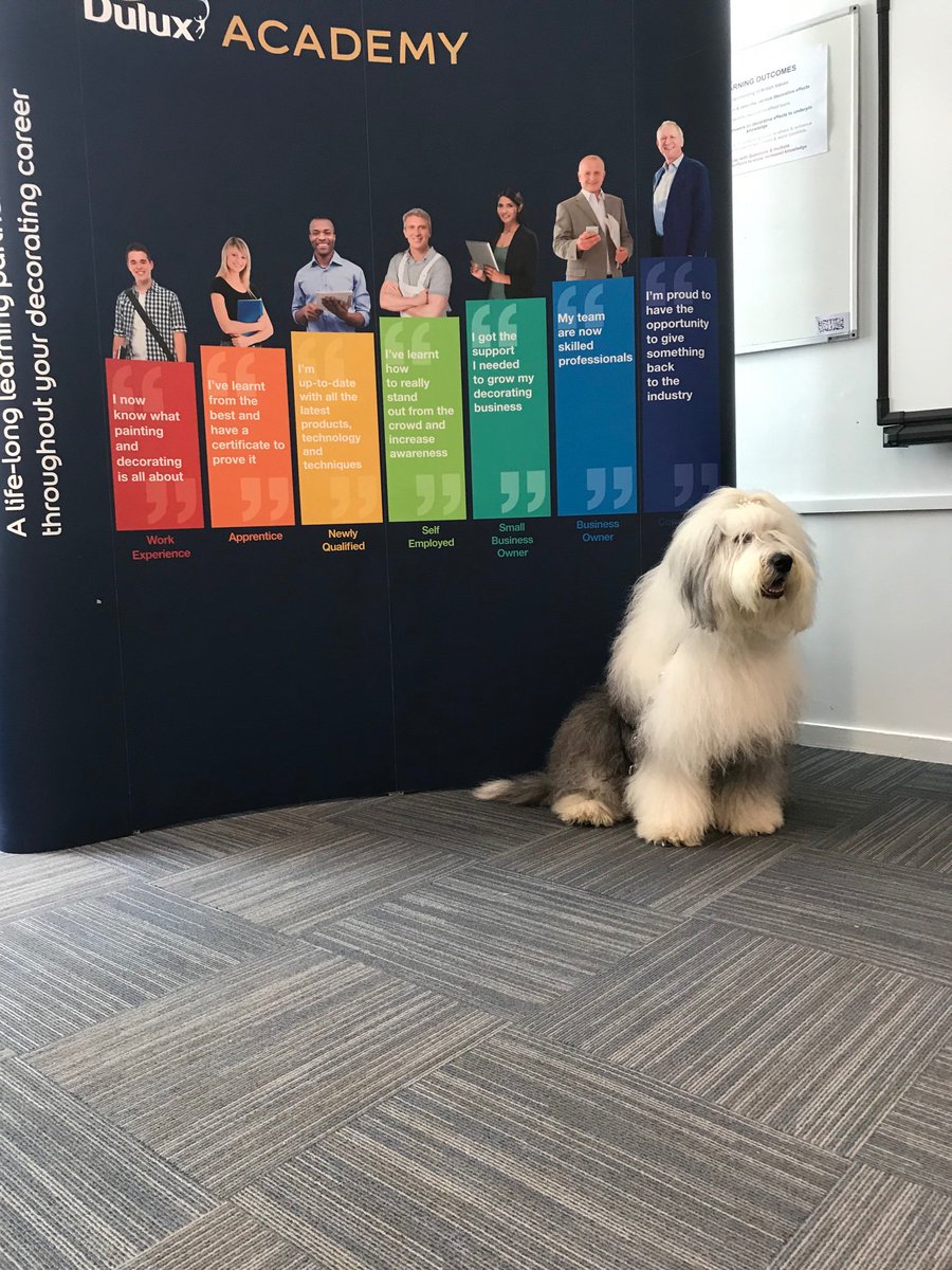 lcb_Painting's tweet photo. Today we officially open the @duluxacademy at @lcb_Painting with the help of the Dulux dog! Sign up to learn at our fantastic new facilities or let us train your apprentices. @BBCLeeds @leedslivenews @ThePDA @decoratorsforum @CITB_UK @LCB_Building https://t.co/1BA6qCKWkL