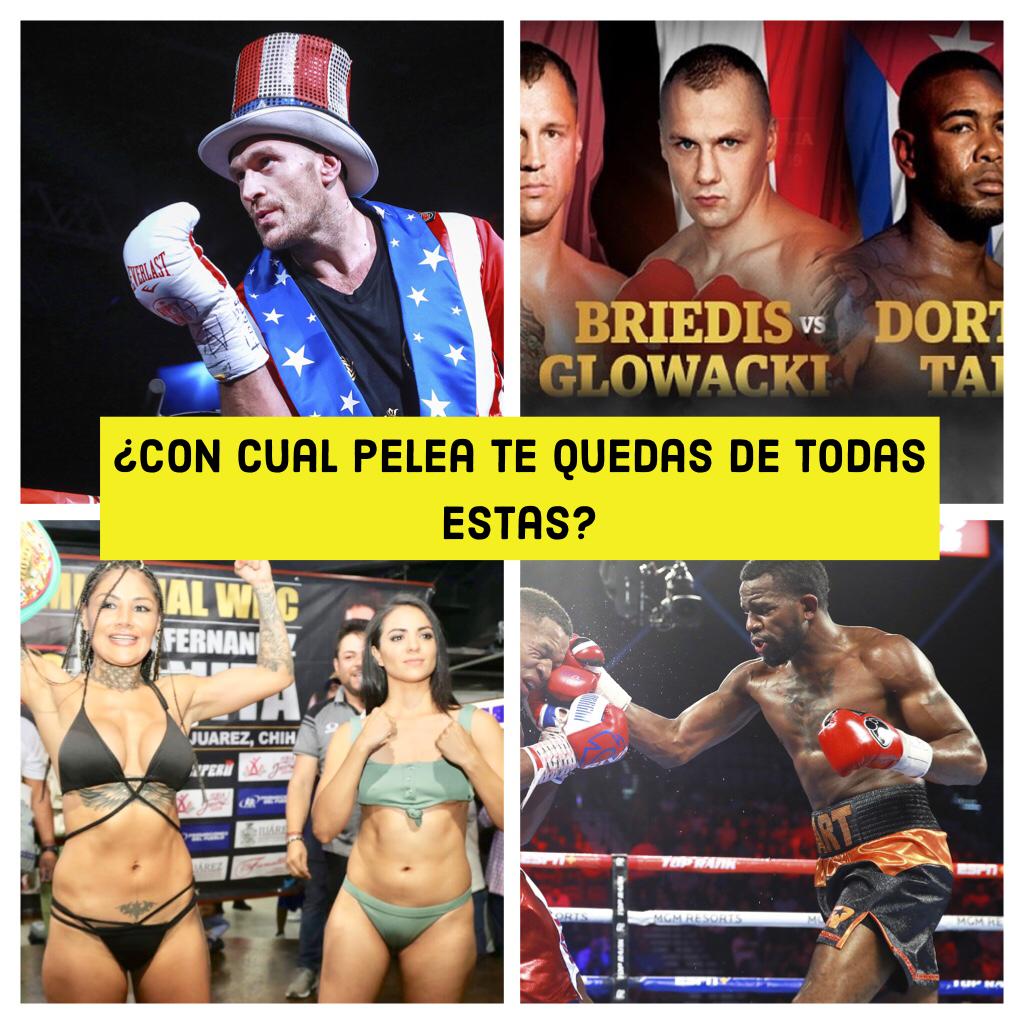 ErnestoAmador's tweet photo. ¿Con cual de estos peleones te quedas?
@YouTube Channel #NoPuedesJugarBoxeo
@Tyson_Fury @maryjuarezcute @MairisBriedis @1hollywoodHart @DorticosKO
https://t.co/Quezh9cYrR .
#Boxeo #Boxing #TysonFury #Briedis #Dorticos #JesseHart #TopRank #ESPN #DAZN #MarianaJuarez #NPJB https://t.co/Ax2h92hYEw