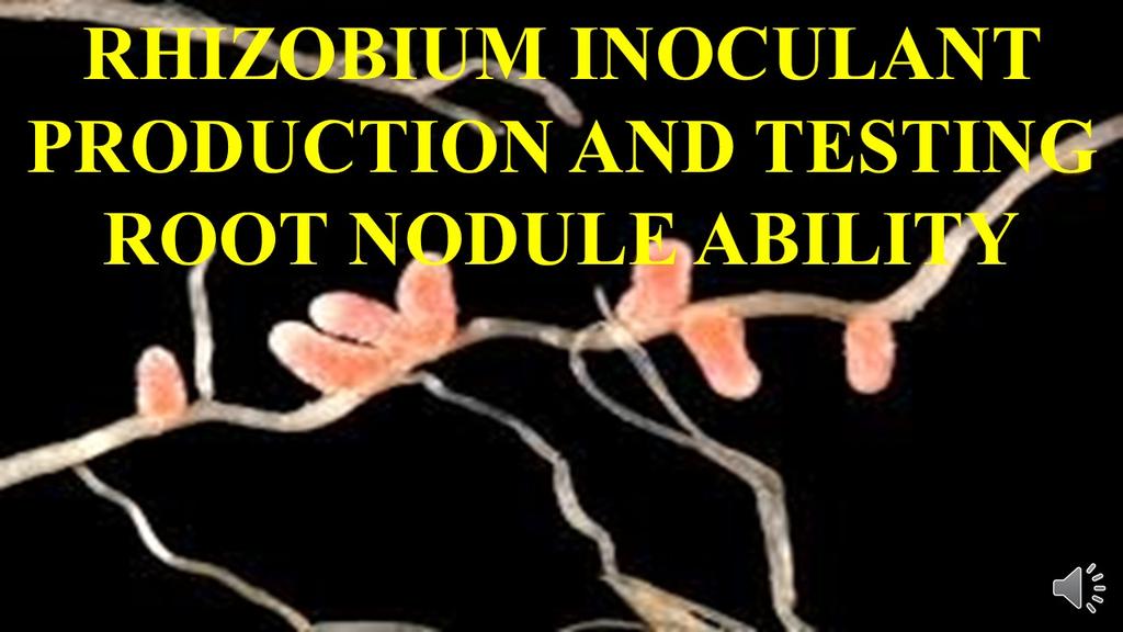 KmdWith's tweet image. 