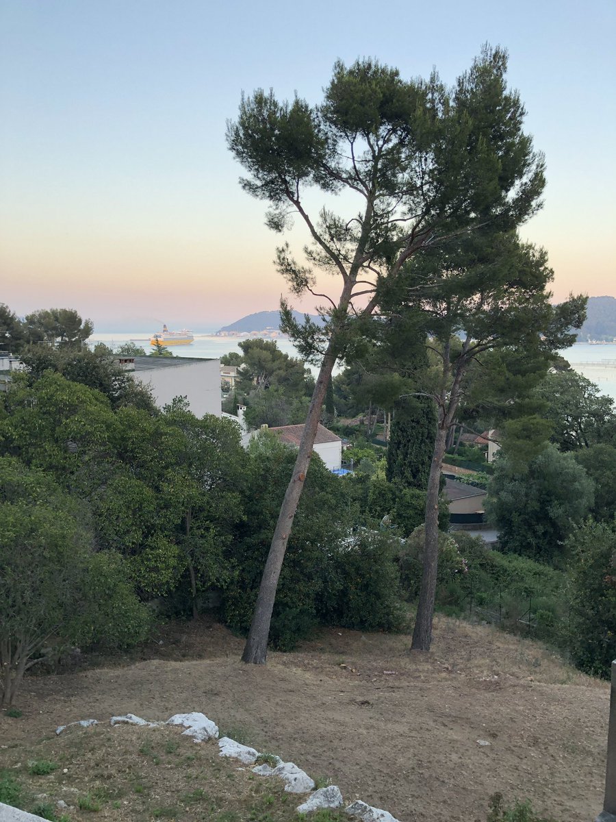 Une avant-première de notre soirée des Femmes Cheffes d’Entreprises du 25 juin.🤩⭐️✌️👌On vous attend ! 😉☺️🎉
Ce soir « Les nuits de la pleine Lune » #TerrassedeLaVillaTamaris #21h05 #17 juillet 2019. 👁👀🌸💫✨🎼🌠