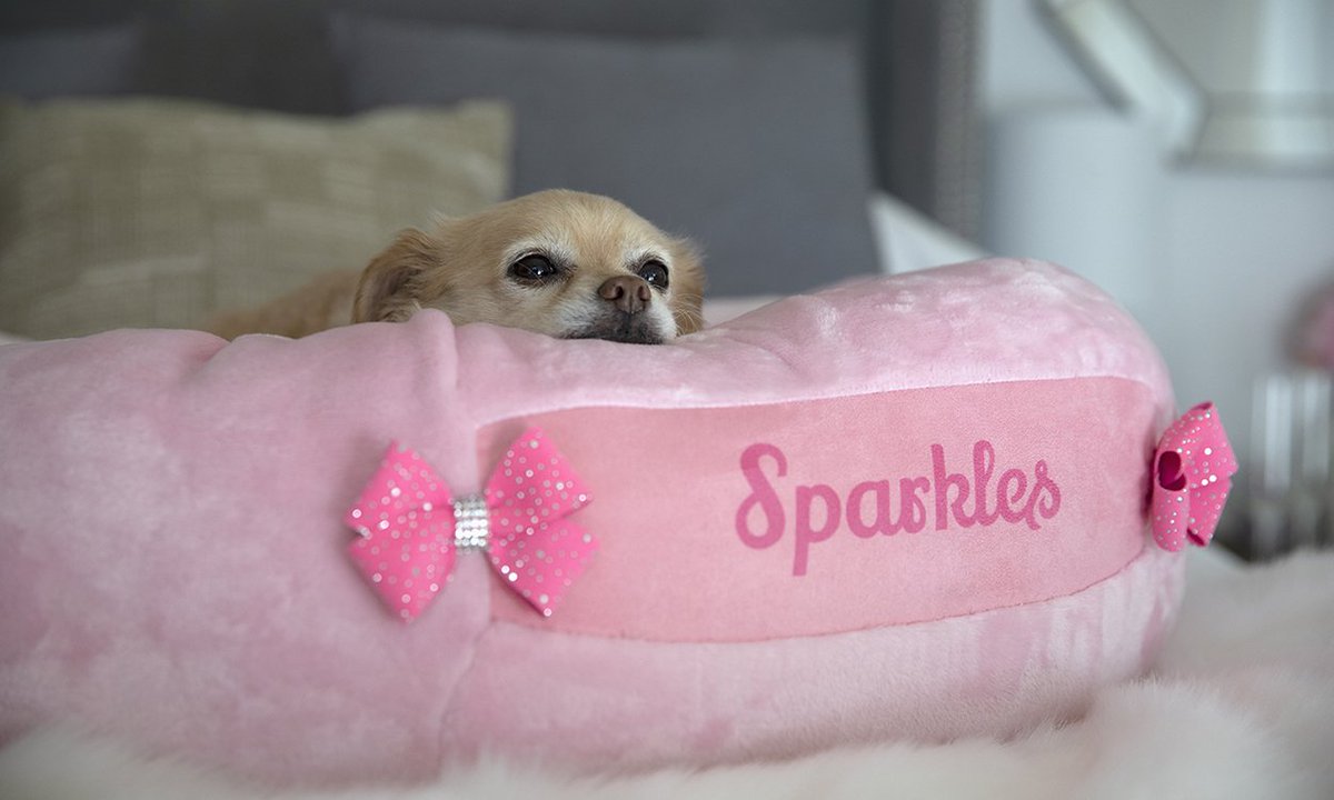 susanlanci1's tweet photo. Luxury just got personal! Check out our new custom bed's available now on our website.
#sld #susanlancidesigns #susanlanci #swarovski #crystalsfromswarovski #ultrasuede #personalize #customdogbed #customdog #dogbed #luxurydogbed https://t.co/kQoLwgq2IH