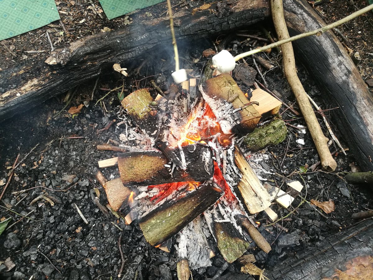 Ending a fantastic first day @HoltHallNorfolk toasting marshmallows on a campfire
<a href="/FirsideJunior/">Firside Junior School</a>