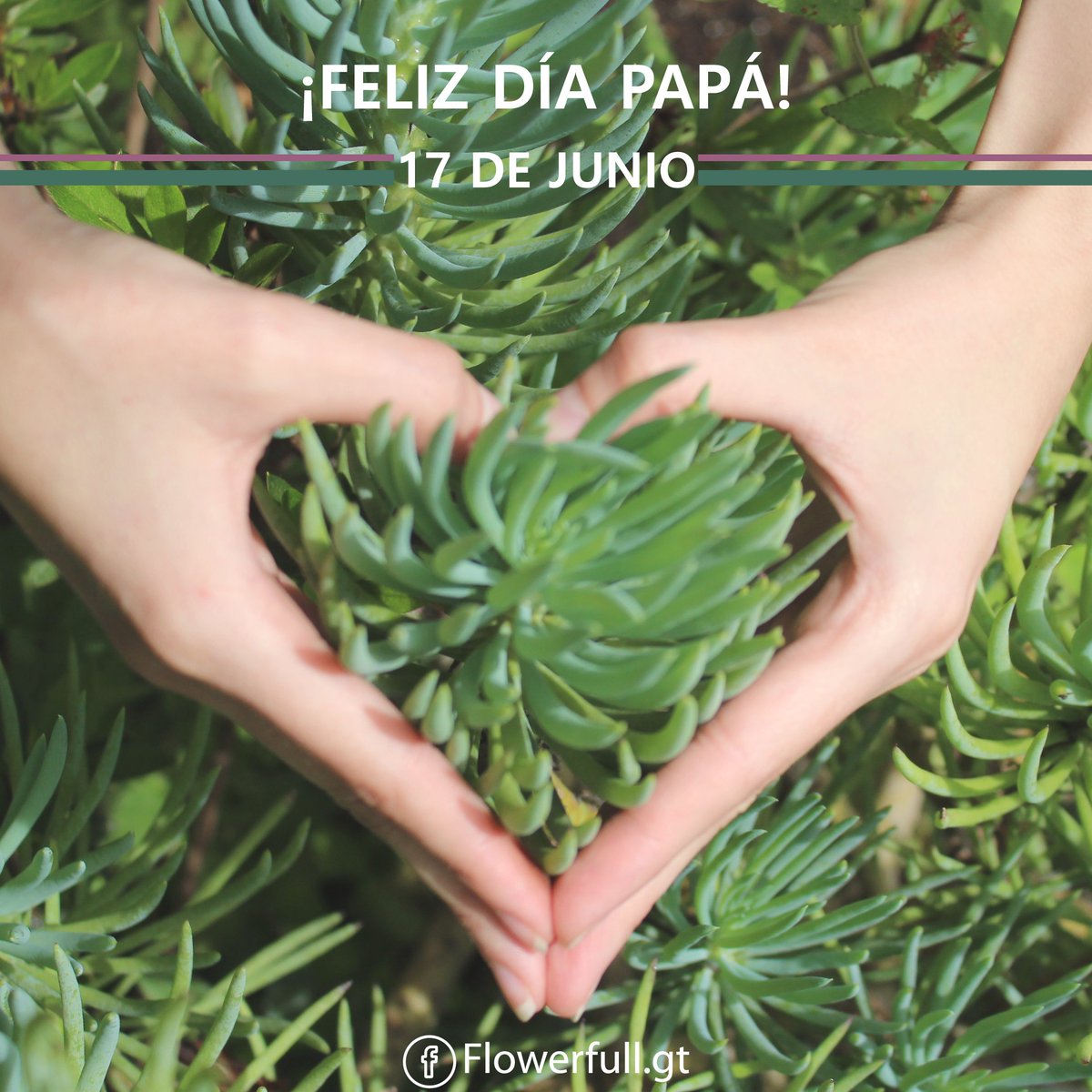 Flowerfull_gt's tweet photo. Por ser un buen ejemplo y una gran inspiración ¡gracias papá!
#FelizDíaDelPadre #Suculentas #Flowerfull #OxígenoParaTuMundo #HuellaVerde #Papá #Abuelo #AmamosLaVida #Love #Padre #FathersDay #Guatemala https://t.co/ZaG8KxW2Km