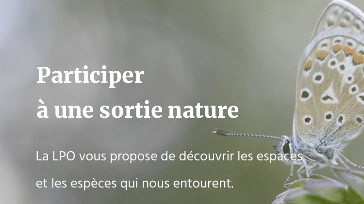 Lpo Aquitaine At Lpoak Twitter