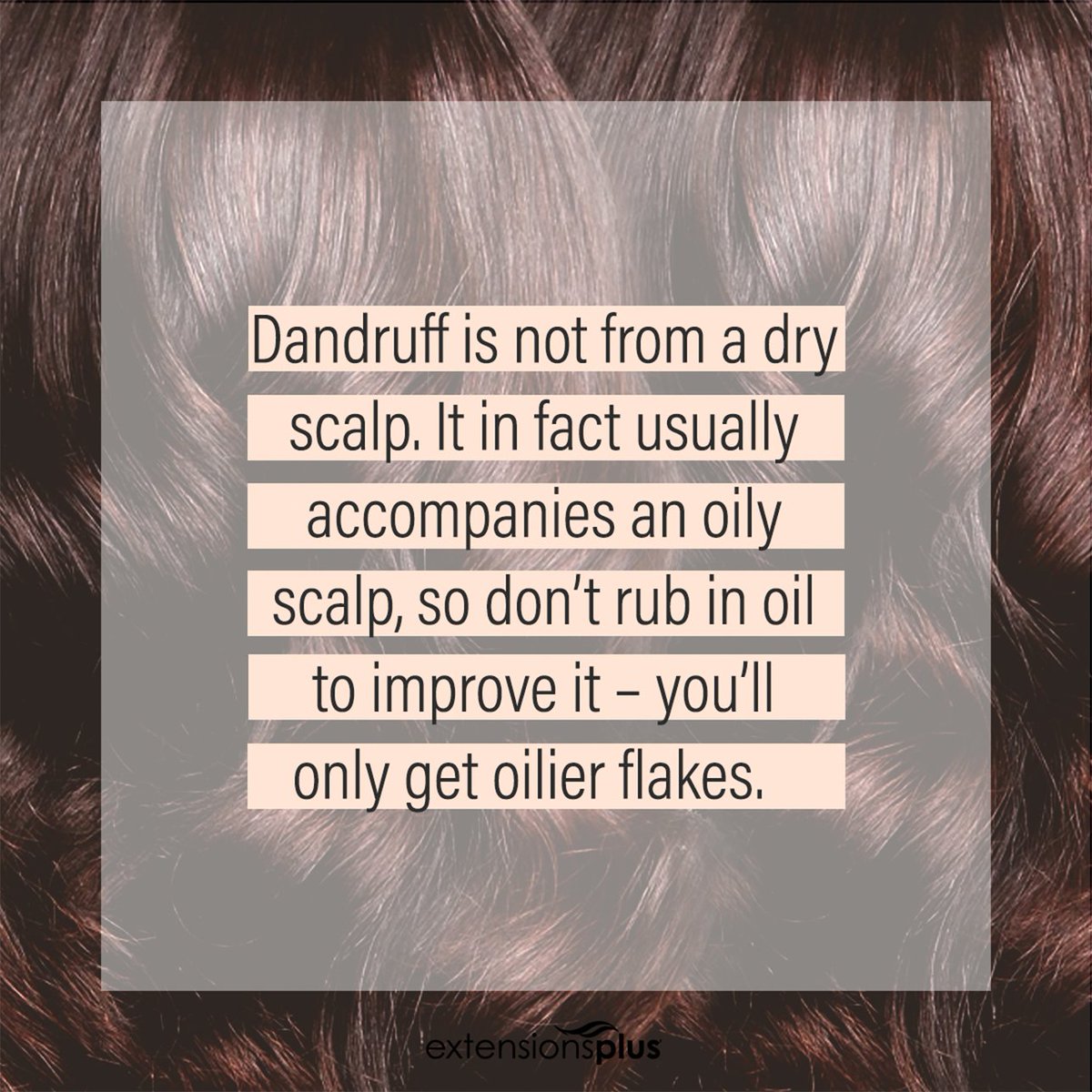 ExtensionsPlus's tweet photo. Did you know? Dandruff is not really from a dry scalp. #hairfacts #haircare #extensions #losangelesextensions #thehairexperts #extensionsplus #customhair #readymadehair #remyhair https://t.co/zoctKA7L8j