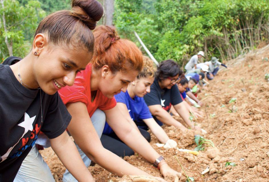 NuestraEscuela's tweet photo. 🌿🌳 Dimos inicio a un espacio de producción agrícola en Nuestra Finca Escuela en Casa Collores, Orocovis. Se llevó a cabo la siembra de más de 5,000 semillas de batata ¡Por la transformación de Puerto Rico! #nuestraescuela #educacionalternativa #todopormiestrella https://t.co/kkFFbYlE0o