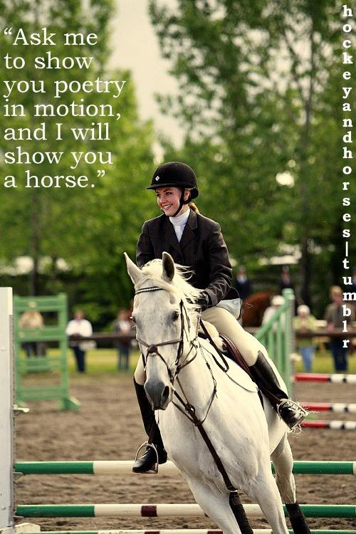 PeakHorses's tweet photo. ❤️ #MondayMotivation #horselife #equine #horsehealth #letsride https://t.co/VIxcpyuINS
