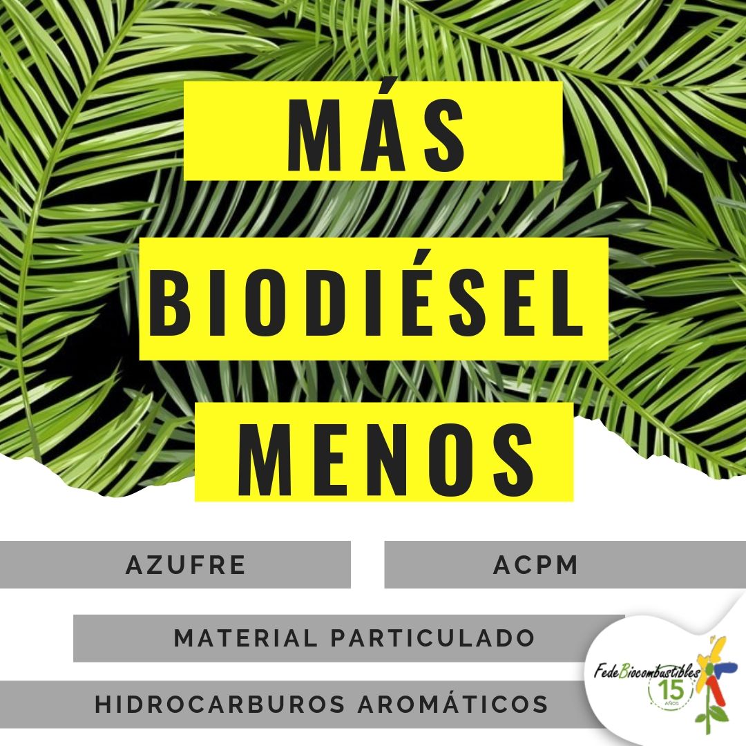 FNBColombia's tweet photo. Depender cada vez menos de fuentes fósiles como el petróleo es una de nuestras metas como país y al utilizar mezclas de  #BIOdieselAl12 % contribuimos a lograrlo. https://t.co/u9UuN6bnqS