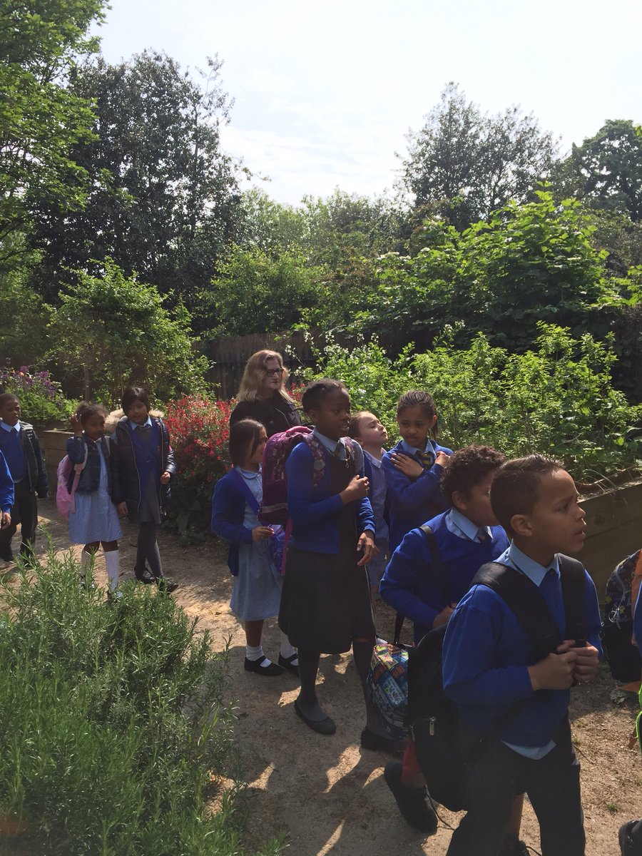 StGeorgeClass's tweet photo. @StGeorgeClass went on a fantastic trip to Victoria park. Children were involved in a plant workshop where we learned about different plants and how they survive. This helped with our understanding for our Science topic on plants! #sciencestannese1 https://t.co/2x9kQkMPAZ