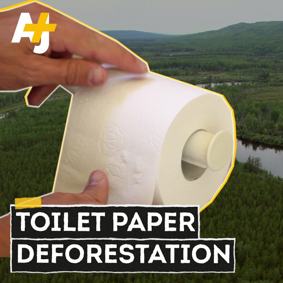 AJ+ on Twitter "America's love for luxury toilet paper is damaging