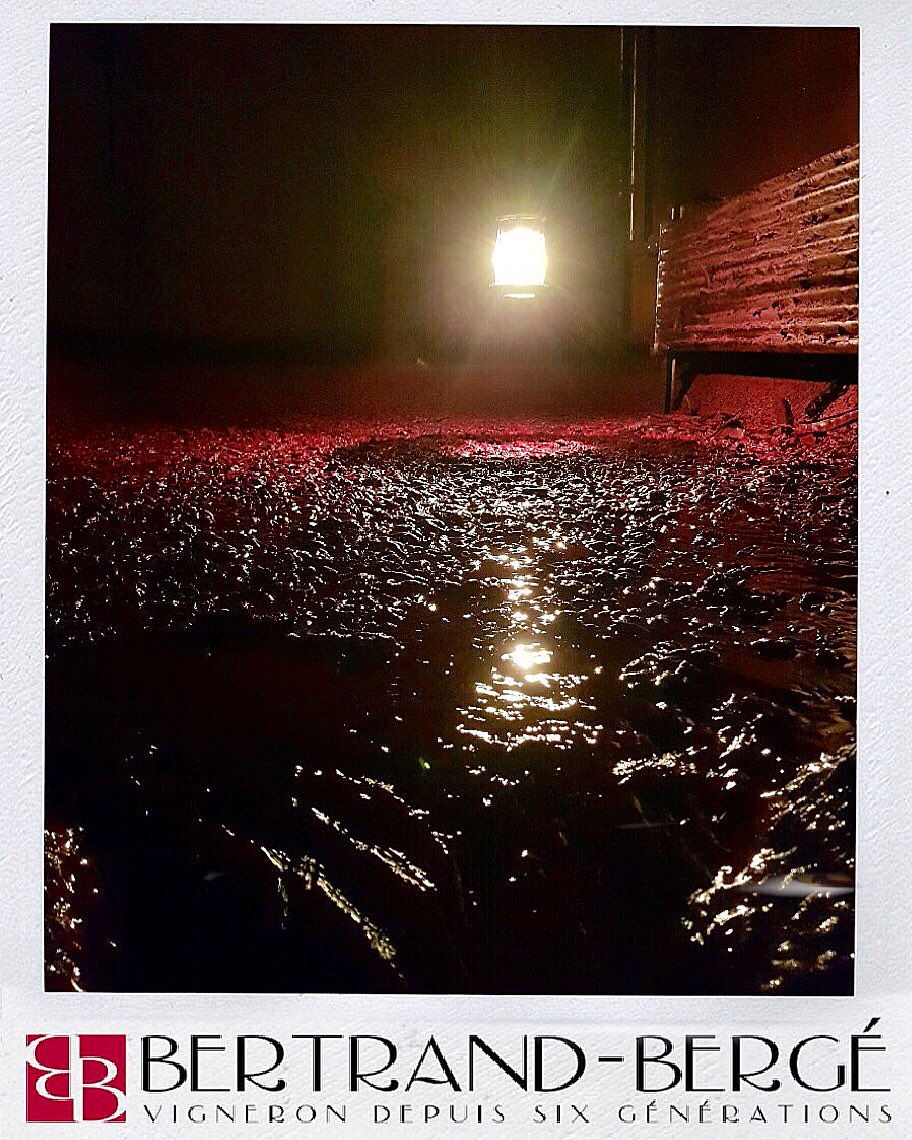 BergeDomaine's tweet photo. Les Lies après le soutirage du Grenache Noir de la Boulière 🍇.
Maintenant on éteint la lumière et au Lit ! 😉
.
#labouliere #domainebertrandberge #grenachenoir #lie #liedevin #aocfitou #fitou #soutirage #vigneronindependant #vigneron #roussillon #occitaniewines https://t.co/ZgTgdkMfl0