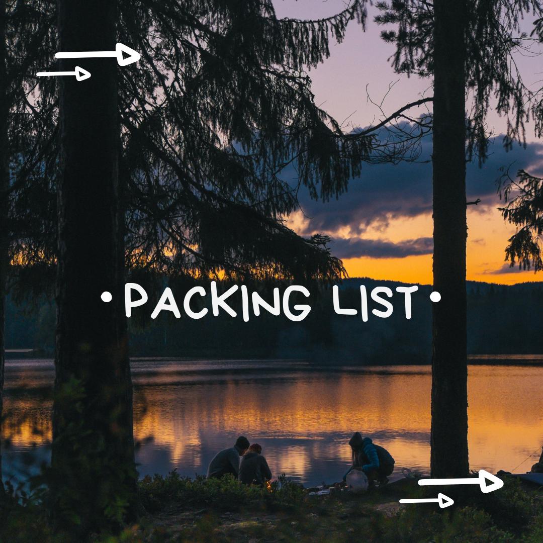 SEDNextGen's tweet photo. North Carolina Youth Camp is just a few days away, so here is a little reminder of things you don’t want to forget! We’ll see you soon! #campmatters https://t.co/1FFmYXTz4z