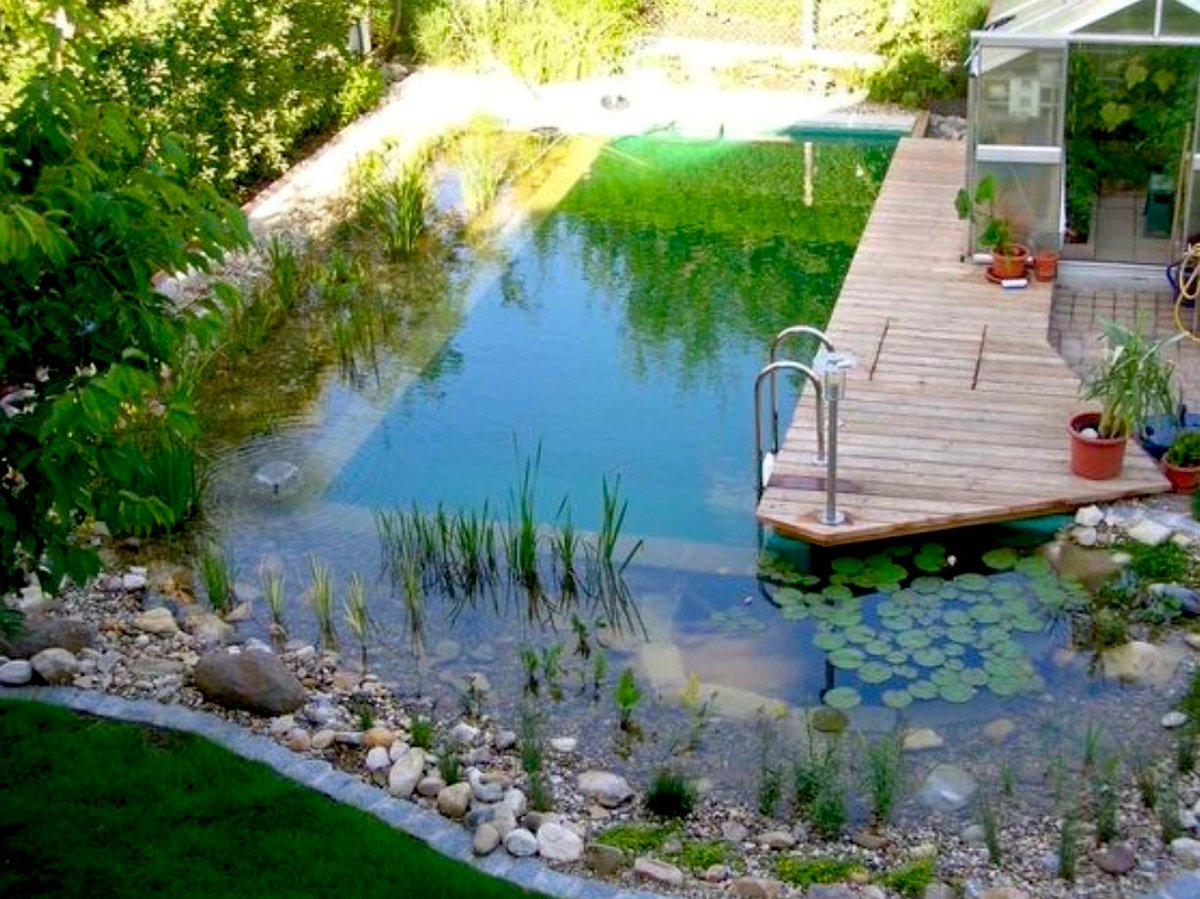 Crowdfunding_PR's tweet photo. Off Grid Living: How to Build a Natural Swimming Pool with Cinder Blocks
Read, see pictures and learn more at:
https://t.co/Eo8HZoYbb4
#OffGridLiving #LivinOffGrid #Howto #Build #CinderBlocks #Mortar #LiquidNails #Rebar #Concrete #Walls #Stairs #NaturalSwimmingPools #HotTubs https://t.co/quVYudPVQr