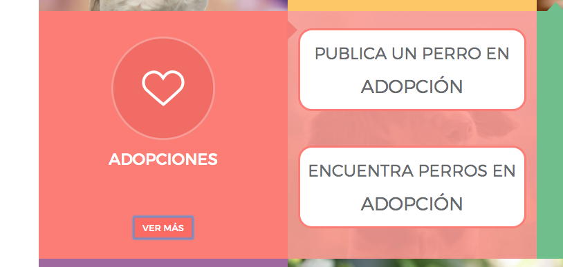 merkadomexico's tweet photo. #Weepec una app 📱📲 que tiene todas las herramientas para el cuidado de tu mascota🐶. Registrate aqui ----> https://t.co/VgMqVUdxgM y recibe una placa con el nombre tu perrito. #dogsoftwitter #perrosdelacalle. https://t.co/Y7PkobOgzD