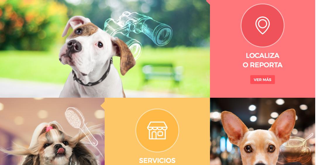 merkadomexico's tweet photo. #Weepec una app 📱📲 que tiene todas las herramientas para el cuidado de tu mascota🐶. Registrate aqui ----> https://t.co/VgMqVUdxgM y recibe una placa con el nombre tu perrito. #dogsoftwitter #perrosdelacalle. https://t.co/Y7PkobOgzD