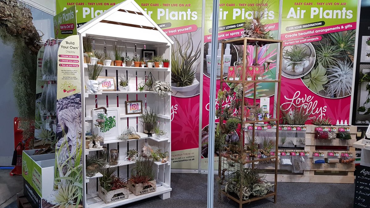 mgskey's tweet photo. Looking forward to meeting our customers and friends at the HTA National Plant show this week #HTAPlantShow #LoveTillys#houseplants https://t.co/eFOJKJ8bQo