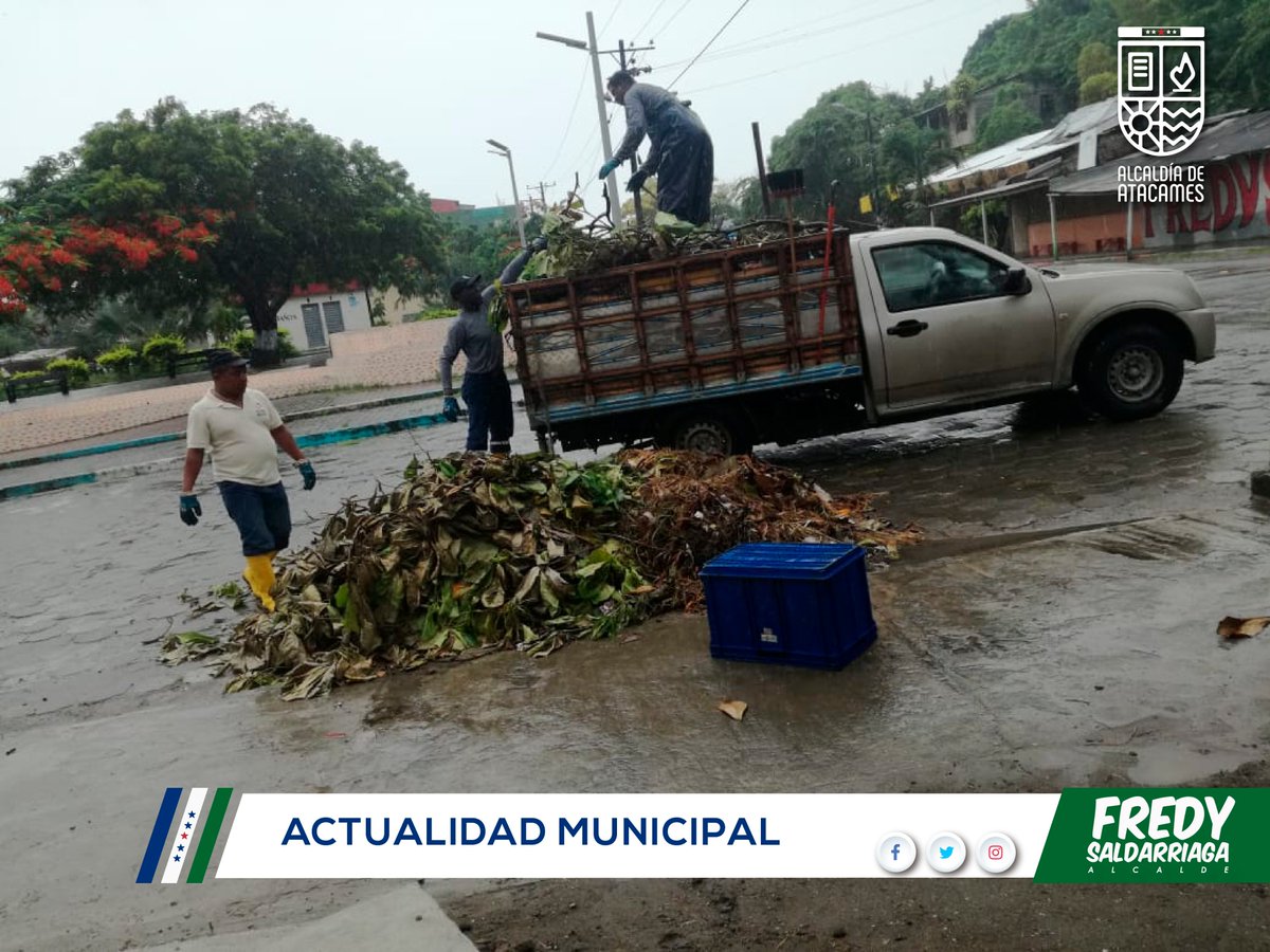 GadAtacames2019's tweet photo. Cumpliendo el compromiso de mejorar el ornato de nuestro cantón el alcalde Sr. Fredy Saldarriaga Corral, dispuso a la Brigada de parques y Jardines realice la limpieza del parque Central de la Parroquia Súa.
#Todossomosatacames https://t.co/jm6VAOIewn