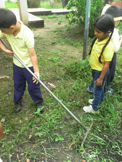 EeiZamora's tweet photo. PREESCOLAR @EeiZamora VDLP en la siembra trabajo PTMS en conuco y patio productivo https://t.co/xJzfYXsEos