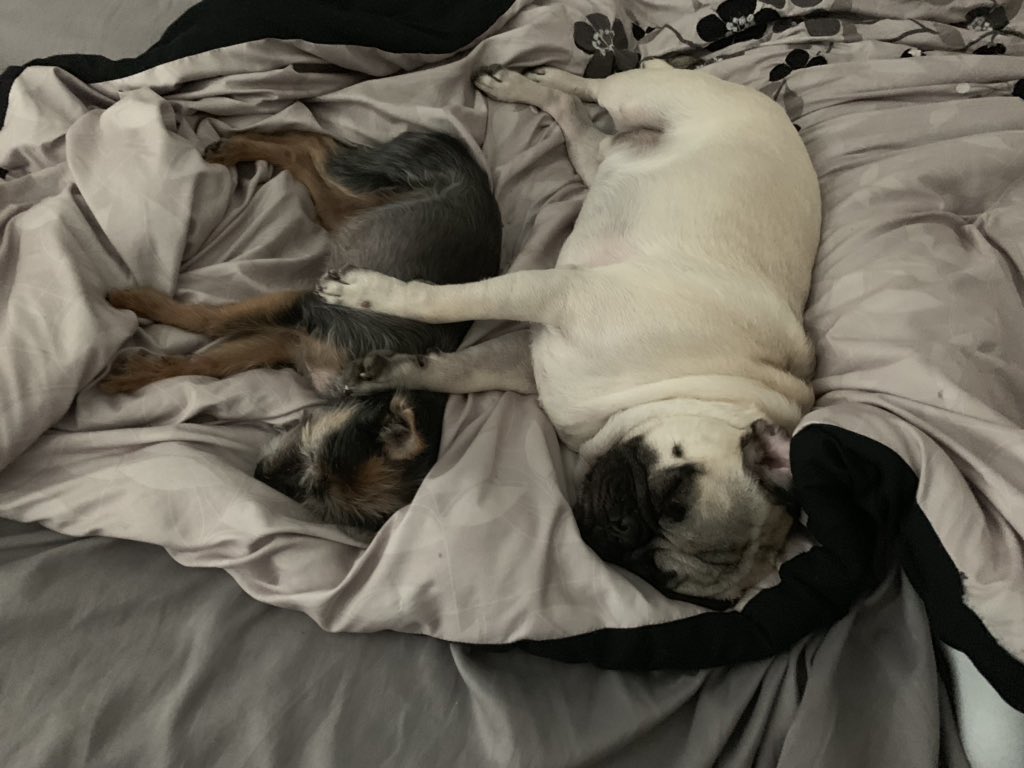 LinManuel Miranda on Twitter "Tobillo is DONE y’all…