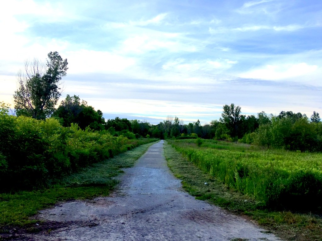 2020 WingFest 5km Fun Run tweet media