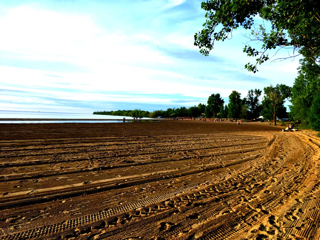 2020 WingFest 5km Fun Run tweet media