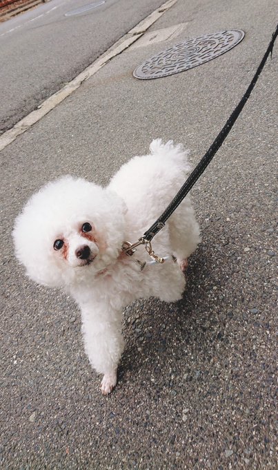 横顔イケメンのtwitterイラスト検索結果 古い順