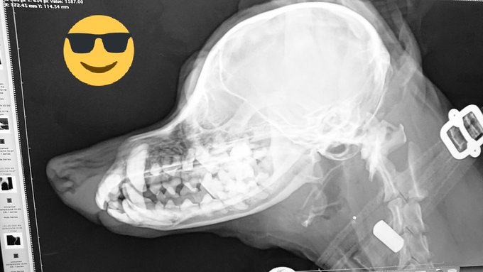 横顔イケメンのtwitterイラスト検索結果 古い順 横顔イケメンのtwitterイラスト検索結果 古い順