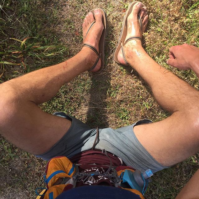 earth_runners_'s tweet photo. Primal diaries. 👣🌲
.
.
.
#getnature #getnatured #getdirty #getsomenature #dirtyandhappy #earthrunners #rewildbefree https://t.co/dt0Gg0dqm1 https://t.co/7hO31SLtQy
