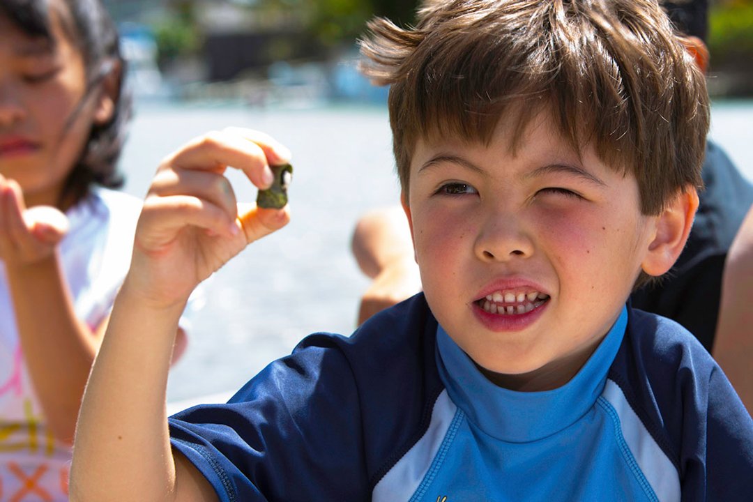 KapiolaniMedCtr's tweet photo. Fun Ways to Keep Kids' Minds Active This Summer https://t.co/QreOoJxYUU #HealthierHawaii https://t.co/TVMyTIA24T