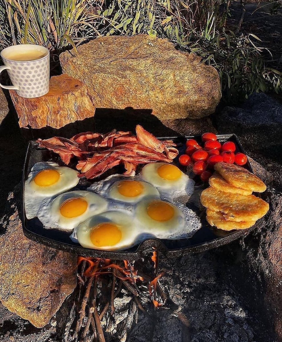 Camping123456's tweet image. Damn..