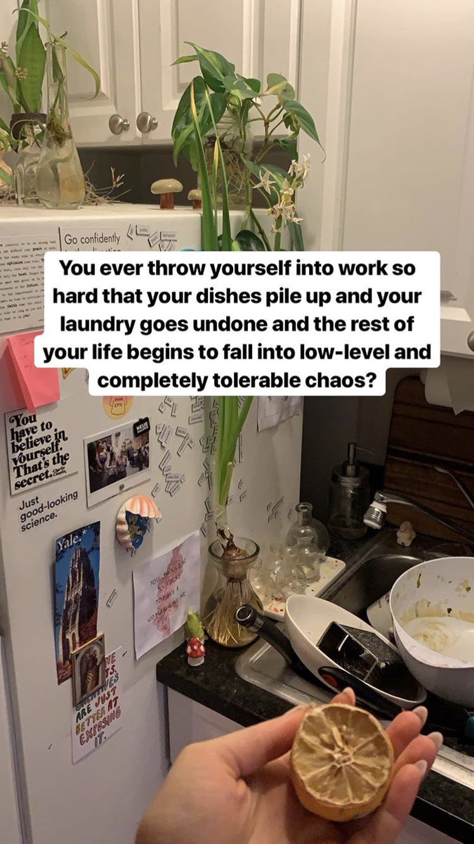 cleaning? saving money by not drinking? working? insta stories? spritz? (insp by @bent_ley)