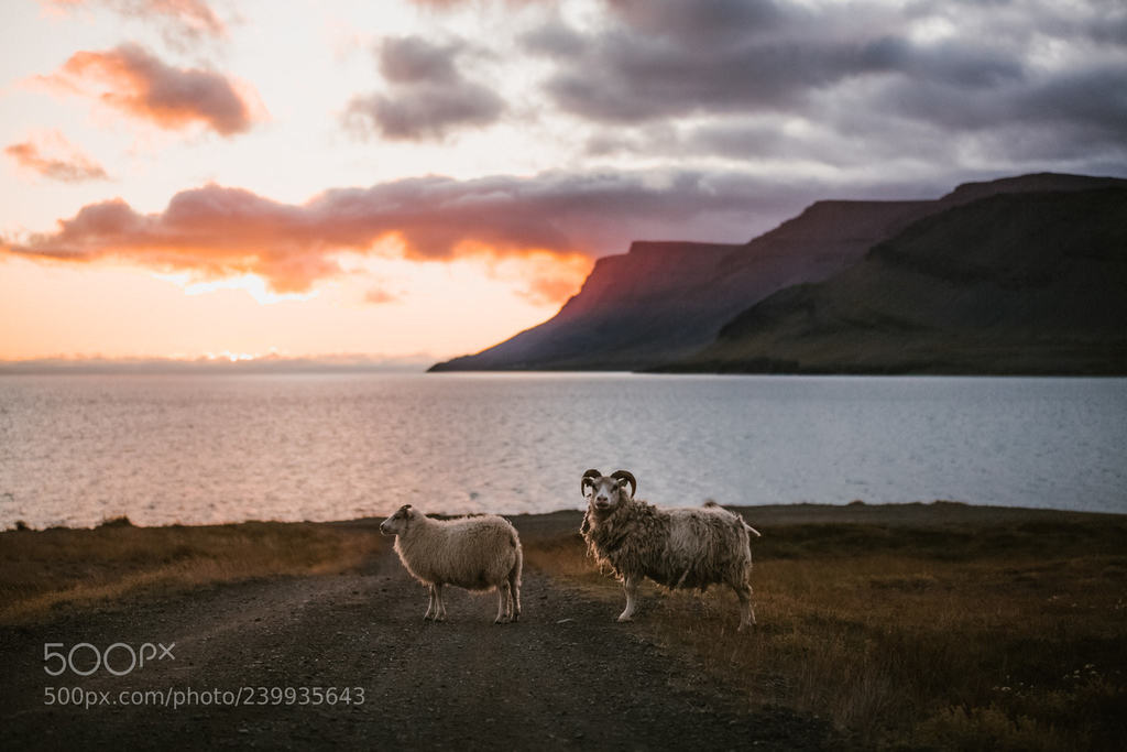 Westfjords by marinaweishaupt
