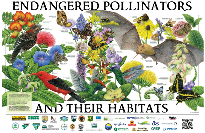 Beepods's tweet photo. It's #PollinatorWeek ! Do you know how it all got started? Check it out here:
https://t.co/XkvHOMtBVo
#Beepods #BeeTheChange #pollinatorhero #pollinators https://t.co/q4Khg5UHQx