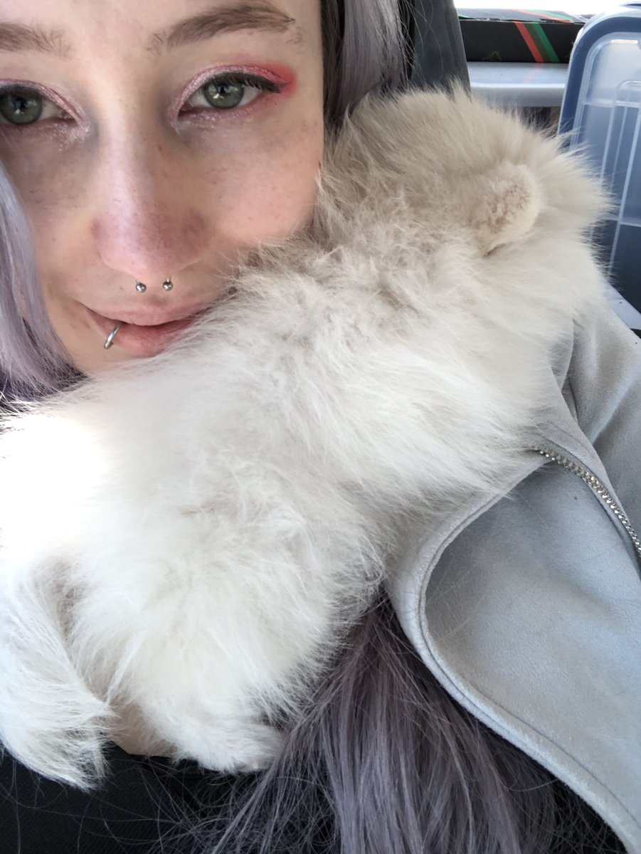 She’s spending most of the trek home asleep on my chest. Barely fussed at all. Licked my face more than she cried. She’s a small chill fuzzball the size of my hand.