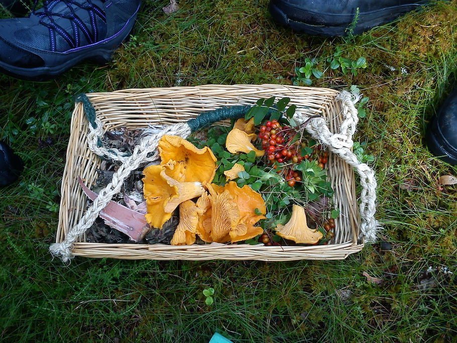 Events on Wednesday 18 June:
 
Useful Nature Foraging Walk - 3 places left
Wildlife and Railways Walk - 5 places left
Arboretum Amble - SOLD OUT
Beginners Mountain Biking - 2 places

themorayway.org.uk/festival/calen…