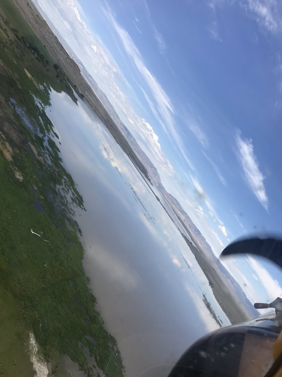 airsprayers's tweet image. #sprayerslife