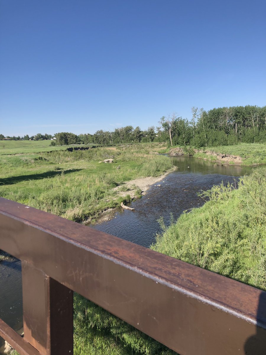 grade1derfulyyc's tweet photo. What a beautiful day for SOGO in our gorgeous Fish Creek Park. Thank you to all the volunteers who helped us today💕 #craik https://t.co/kmOAPu9jnB