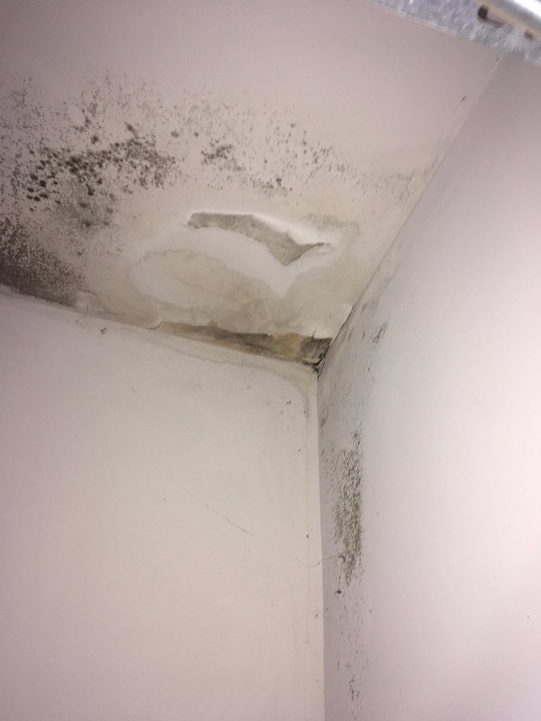 DrMantisMD's tweet photo. @FOXNashville Y’all ought to do a story on @Pointeat5Oaks in Lebanon, TN. This “luxury” complex not only offers overflowing trash bins and free black mold in every unit, but provides uninsulated walls and non-latching doors to really bring you and your neighbors together. Only for 2k/month!!! https://t.co/2uSOPMD6kk