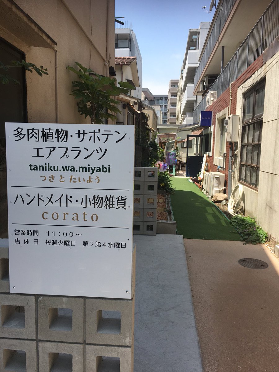 平山雅之 Ibcwm0com1ueofr Twitter