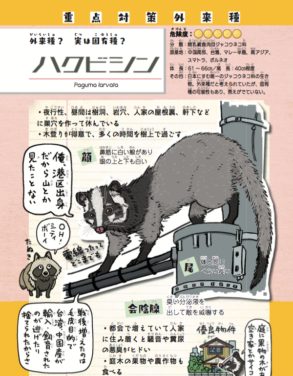 6年前のちょうど今頃、都立大のマンションから出た瞬間バッタリ目が合ってしまったハクビシン。まさか将来こいつを題材に本を出す事になるとは思いもしなかった。

好評発売中→『侵略！#外来いきもの図鑑 もてあそばれた者たちの逆襲』… 