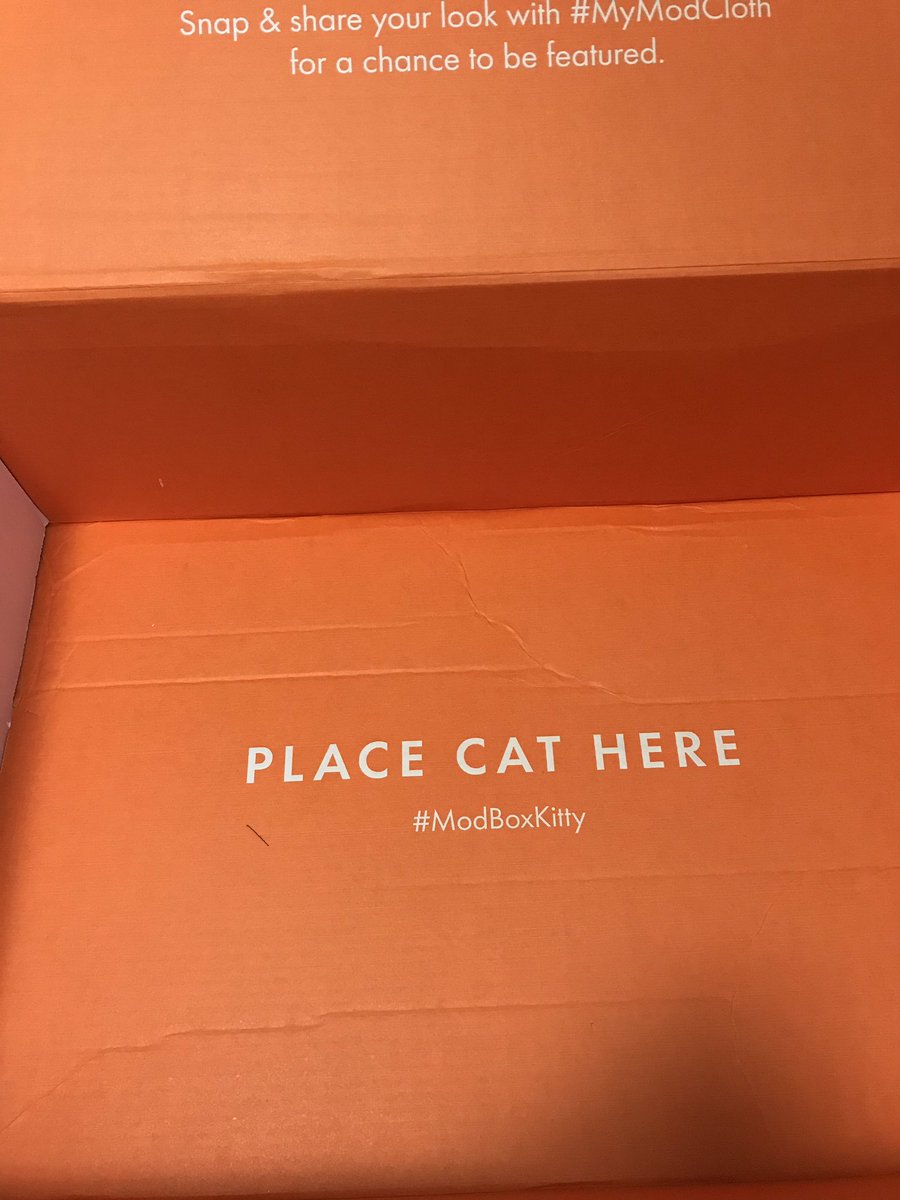 brizacharias's tweet photo. I feel like ModCloth really understands us. #modboxkitty https://t.co/1HIPnGlqsp