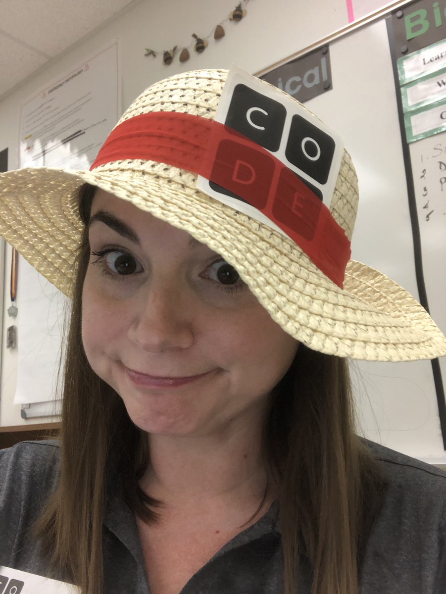 BillieDollins's tweet photo. Getting ready to debrief this TLO...with my ‘observer’ hat! 🎉@BrowardSTEM @codeorg @TeachCode #thefunroom https://t.co/kZJkpEnU6G